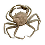 Decorative objects - Crabe - HAMILTON CONTE