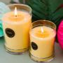Candles - Edition WoodWick Noël&Halloween - ICD COLLECTIONS