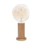 Suspensions - Voronoi I & Oak Touch Lamp  - TALA