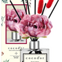 Parfums d'intérieur - Cocod'or Diffuser - HEALTHTODAY CO.,LTD.
