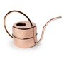 Floral decoration - Maxi Watering Can - NYKS