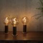 Hanging lights - Voronoi I & Oak Touch Lamp  - TALA