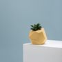 Decorative objects - polyhedron planter  - FRAUKLARER