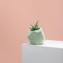Decorative objects - polyhedron planter  - FRAUKLARER