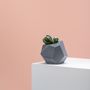 Decorative objects - polyhedron planter  - FRAUKLARER