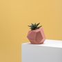 Decorative objects - polyhedron planter  - FRAUKLARER