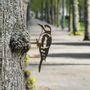 Decorative objects - Metalbird Woodpecker outdoor decoration - METALBIRD