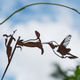 Decorative objects - Metalbird Hummingbird - METALBIRD