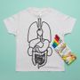 Children's arts and crafts - Color it yourself tee shirt to discover the organes of your body - KOAKOA