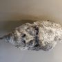 Sculptures, statuettes et miniatures - masque gorille - CHARTIER SEBASTIEN