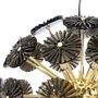 Hanging lights - Dandelion Suspension Lamp - CREATIVEMARY