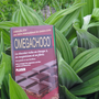 Spa - OMEGACHOCO - CHOCOLATERIE BERTON