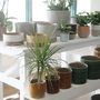 Decorative objects - Stoneware Flower Pots - BARRO.