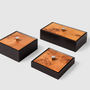 Coffrets et boîtes - Urbino: Leather & Burl Wood  - PINETTI