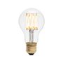 Ampoules pour éclairage intérieur - Globe 6W LED lightbulb - TALA