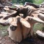 Trays - Massif wood table top - WILD-HERITAGE.COM