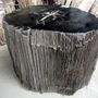 Office seating - Petrified wood stool - WILD-HERITAGE.COM