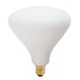 Ampoules pour éclairage intérieur - Noma 6W LED lightbulb - TALA
