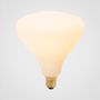 Lightbulbs for indoor lighting - Noma 6W LED lightbulb - TALA