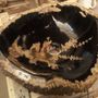 Design objects - Petrified wood basin - WILD-HERITAGE.COM