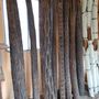 Design objects - Tree ferns - WILD-HERITAGE.COM