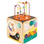 Toys - MULTI-ACTIVITY LOOPING TOY - JANOD