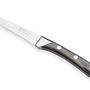 Kitchen utensils - PALACE ***** steak knife - ALAIN SAINT- JOANIS