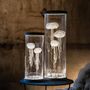 Table lamps - LAMP MEDUSE GM & PM - VOX POPULI COMPAGNIE