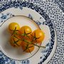 Assiettes au quotidien - Laura Ashley Blueprint Collectables - WEGTER CONSUMENTEN B.V.
