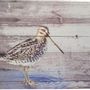 Objets de décoration - Oiseau, marmotte, loup, lapin, écureuil - TRADE WINDS