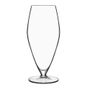 Glass - T-GLASS 27 CL PROSECCO - TABLE PASSION