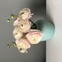 Decorative objects - HB-Varius Vases - HEDWIG BOLLHAGEN