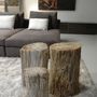 Unique pieces - Petrified wood side tables - XYLEIA NATURAL INTERIORS