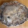 Unique pieces - PETRIFIED WOOD | Wall decoration of petrified wood - XYLEIA NATURAL INTERIORS