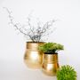 Objets de décoration - Pots en laiton - SAMPLE CONCEPT