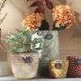 Vases - Vases, pots “Naturology” - AMADEUS