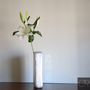 Vases - Vase #001   - CR DESIGN