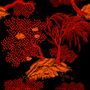 Wallpaper - Jardin d'Asie Noir et Rouge - ISIDORE LEROY