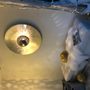 Wall lamps - The Eye - PETER HANSEN CERAMIC DESIGN