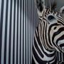 Decorative objects - Zebra - MUSEOM