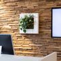 Other wall decoration - LivePicture GO - MOBILANE