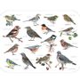 Tea towel - Gardenbirds  - KOUSTRUP & CO