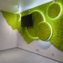 Floral decoration - Stabilized lichen wall collection - CADRE VERT