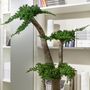 Floral decoration - Custom made stabilized tree - CADRE VERT
