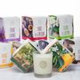Gifts - Scented handcraft candles - EXALIS / LFA