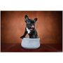 Pet accessories - Award winning dog bowl ROCKY - LABONI