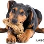 Toys - LABONI Dog TOYS - LABONI
