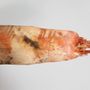 Sculptures, statuettes and miniatures - Sculptures - ISABELLE DELIN CERAMISTE