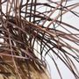Decorative objects - Kalahari Grass Basket - DESIGN AFRIKA