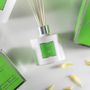 Parfums d'intérieur - CLASSIC COLLECTION - MAX BENJAMIN